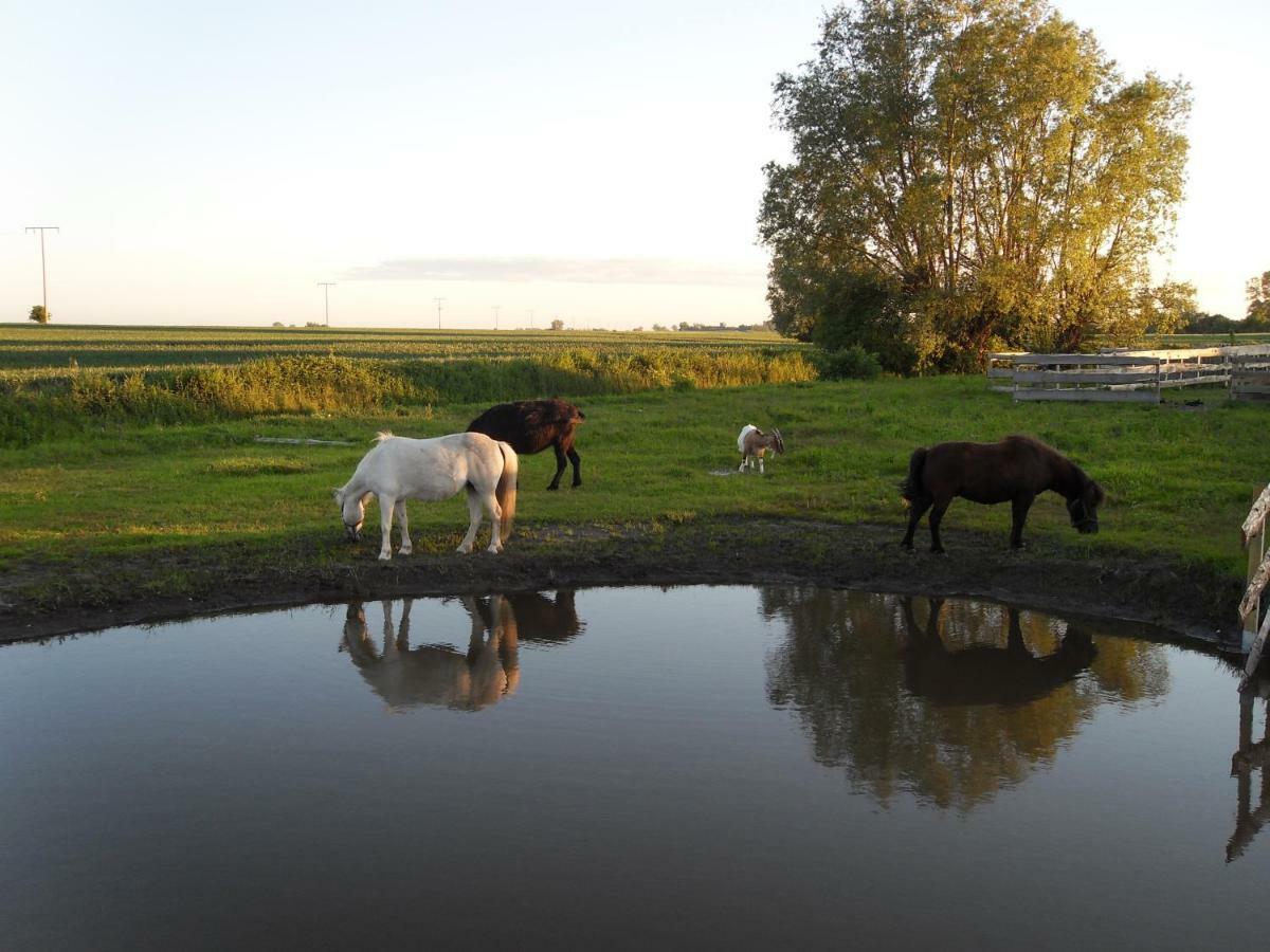 Horse Lake Ranch Neuendorf  المظهر الخارجي الصورة